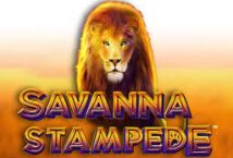 Image of the slot machine game Savanna Stampede provided by Reel Time Gaming