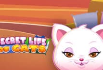 Image of the slot machine game Secret Life of Cats provided by 1spin4win