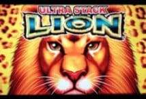 Image of the slot machine game Ultra Stack Lion provided by Novomatic