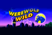 Image of the slot machine game Werewolf Wild provided by Booming Games