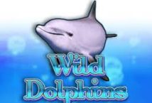 Image of the slot machine game Wild Dolphins provided by Amigo Gaming