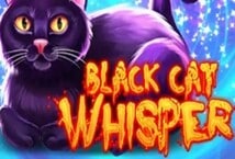 Image of the slot machine game Black Cat Whisper provided by Gamomat