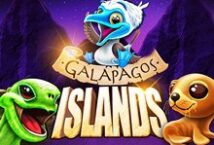 Image of the slot machine game Galapagos Island provided by Genesis Gaming