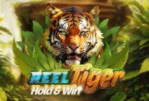 Image of the slot machine game Reel Tiger: Hold & Win provided by Hölle games