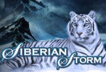 Image of the slot machine game Siberian Storm provided by IGT