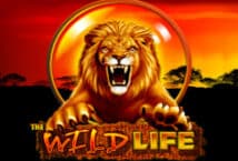 Image of the slot machine game The Wild Life provided by IGT