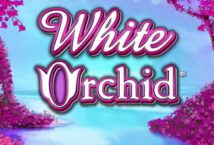 Image of the slot machine game White Orchid provided by IGT