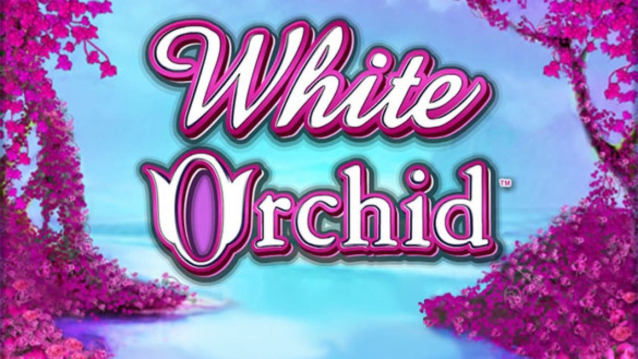 White Orchid Slot Review 2024 Free Play Demo   White Orchid 