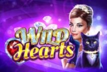 Image of the slot machine game Wild Hearts provided by Amatic