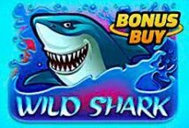 Image of the slot machine game Wild Shark Bonus Buy provided by Hacksaw Gaming