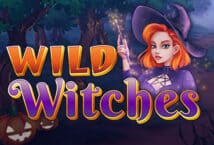 Image of the slot machine game Wild Witches provided by Thunderkick