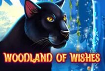 Image of the slot machine game Woodland of Wishes provided by Tom Horn Gaming