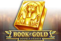 Image of the slot machine game Book of Gold: Double Chance provided by Playson