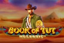 Image of the slot machine game Book of Tut Megaways provided by Play'n Go