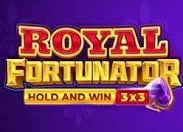 Image of the slot machine game Royal Fortunator: Hold and Win provided by Playson