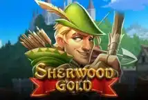 Image of the slot machine game Sherwood Gold provided by Play'n Go