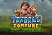 Image of the slot machine game Tundra’s Fortune provided by 5men-gaming.