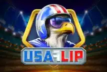Image of the slot machine game USA Flip provided by Play'n Go