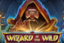 Image of the slot machine game Wizard of the Wild provided by Platipus