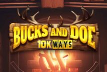 Image of the slot machine game Bucks and Doe 10K Ways provided by Reel Play