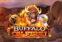 Image of the slot machine game Buffalo on Fire provided by Red Rake Gaming