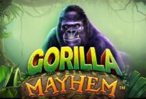 Image of the slot machine game Gorilla Mayhem provided by Pragmatic Play