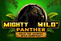 Image of the slot machine game Mighty Wild: Panther provided by Wazdan
