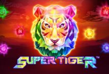 Image of the slot machine game Super Tiger provided by Skywind Group