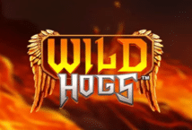 Image of the slot machine game Wild Hogs provided by Red Tiger Gaming
