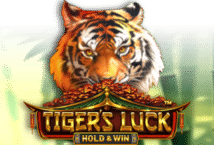 Image of the slot machine game Tiger’s Luck provided by Ka Gaming
