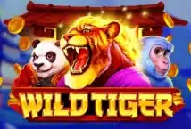 Image of the slot machine game Wild Tiger provided by BGaming