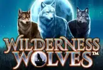 Image of the slot machine game Wilderness Wolves provided by Dragon Gaming