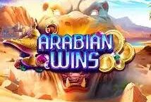 Image of the slot machine game Arabian Wins provided by Red Rake Gaming