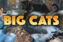 Image of the slot machine game Big Cats provided by WGS Technology