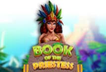 Image of the slot machine game Book of the Priestess provided by Amusnet Interactive