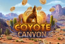 Image of the slot machine game Coyote Canyon provided by InBet