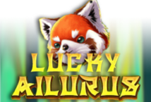 Image of the slot machine game Lucky Ailurus provided by Ka Gaming