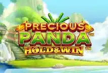 Image of the slot machine game Precious Panda Hold and Win provided by iSoftBet