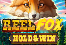 Image of the slot machine game Reel Fox provided by Hölle games