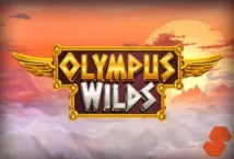 Image of the slot machine game Olympus Wilds provided by Swintt