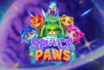Image of the slot machine game Space Paws provided by Hacksaw Gaming