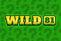 Image of the slot machine game Wild 81 provided by Fazi