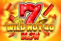 Image of the slot machine game Wild Hot 40 Blow provided by Fazi