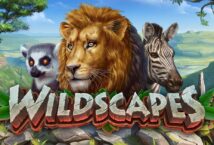 Image of the slot machine game Wildscapes provided by Dragon Gaming