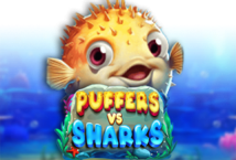 Image of the slot machine game Puffers Vs Sharks provided by Pragmatic Play