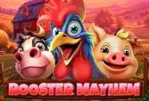 Image of the slot machine game Rooster Mayhem provided by Spinomenal