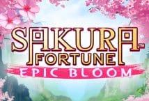 Image of the slot machine game Sakura Fortune Epic Bloom provided by Ainsworth