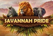 Image of the slot machine game Savannah Pride provided by Red Tiger Gaming