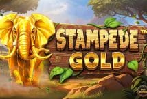 Imagen del juego de tragamonedas Stampede Gold proporcionada por Betsoft Gaming