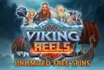 Image of the slot machine game Viking Reels provided by Dragon Gaming